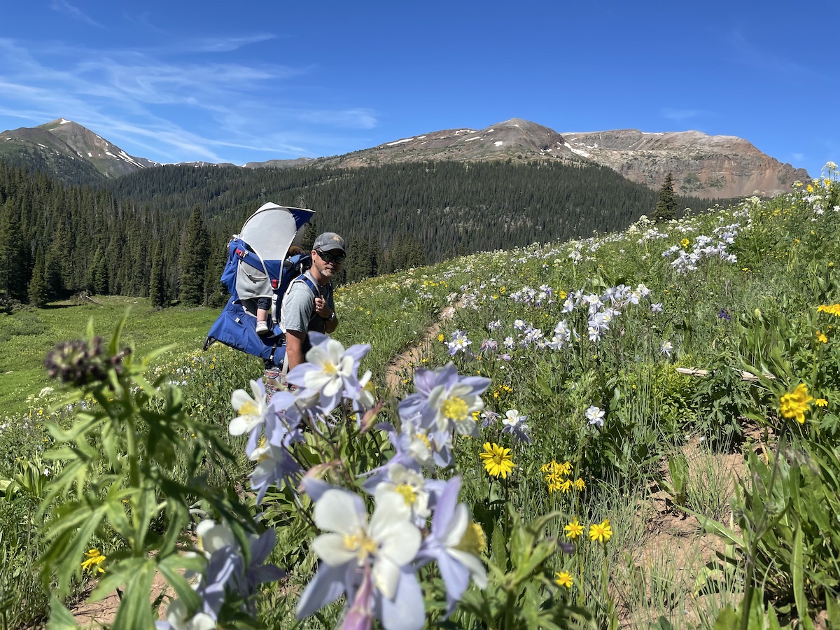 Review: Osprey Poco Plus Child Carrier - TrailWest